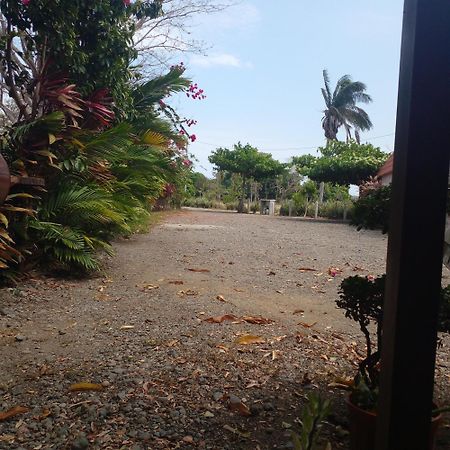 Cabanas Martina Surf Playa Guanico Pedregal エクステリア 写真