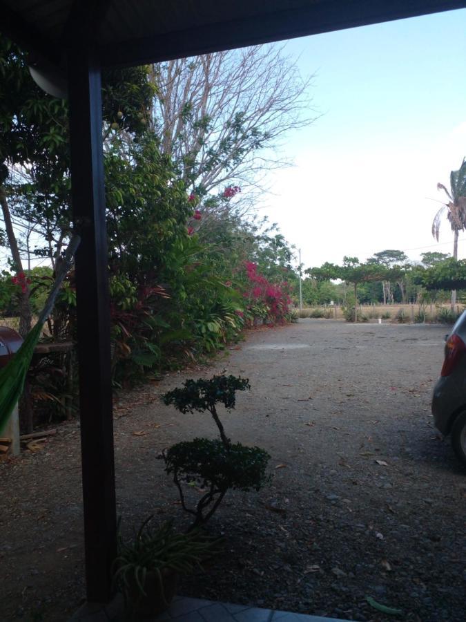 Cabanas Martina Surf Playa Guanico Pedregal エクステリア 写真