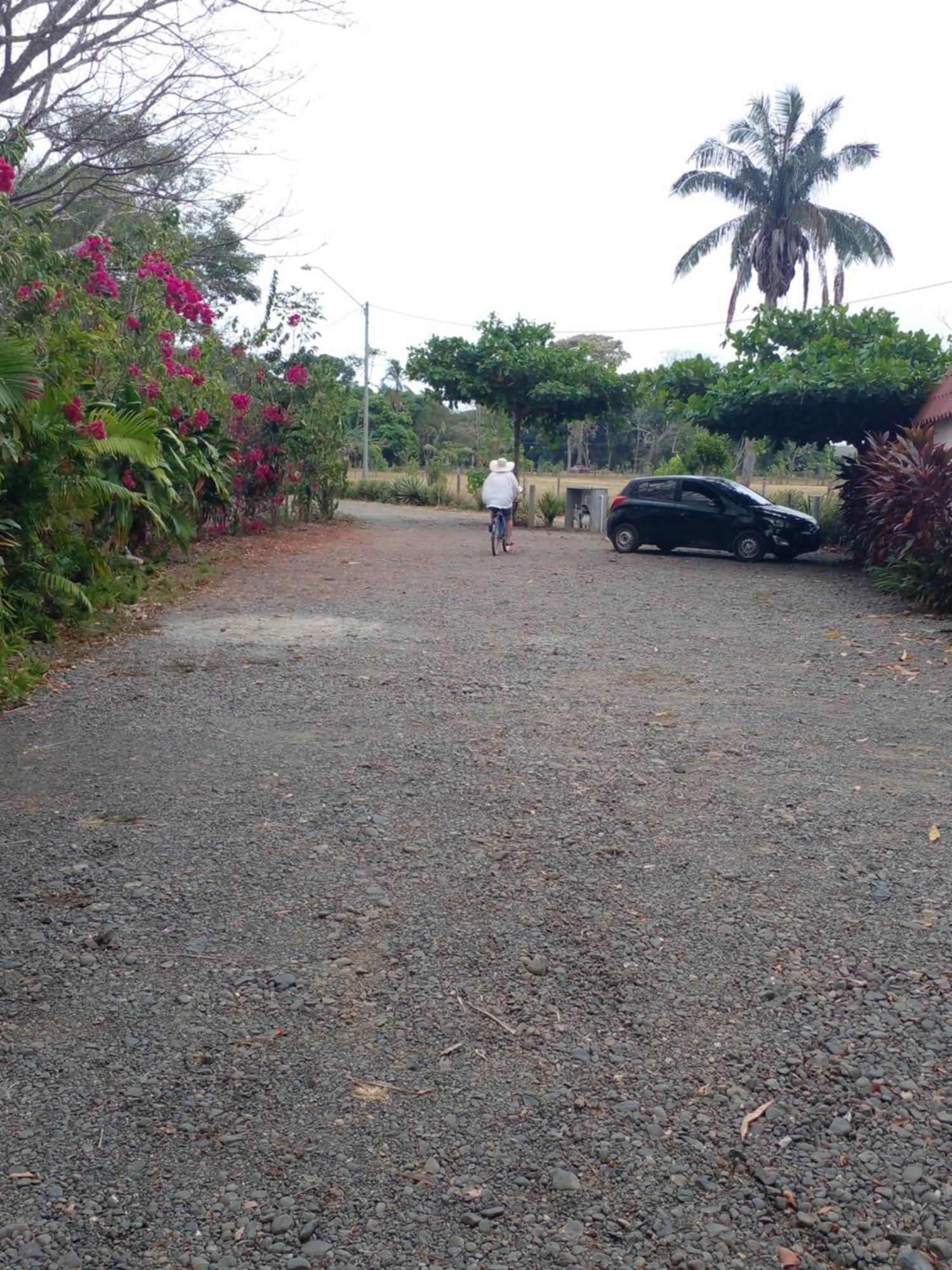 Cabanas Martina Surf Playa Guanico Pedregal エクステリア 写真